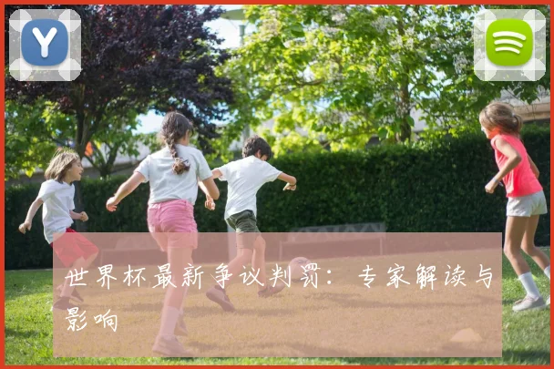 世界杯最新争议判罚：专家解读与影响