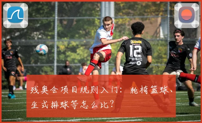 残奥会项目规则入门:轮椅篮球、坐式排球等怎么比?