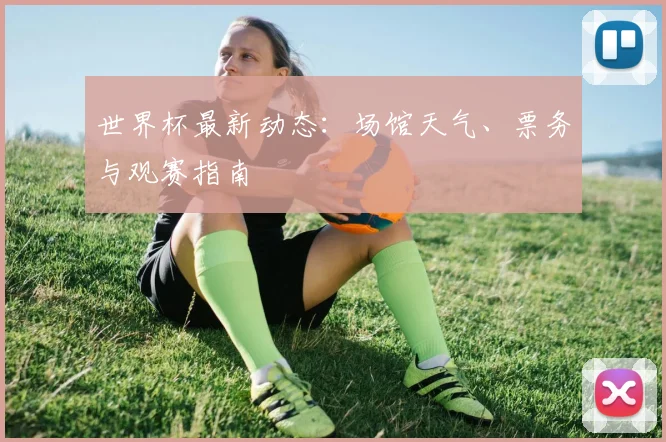 世界杯最新动态：场馆天气、票务与观赛指南
